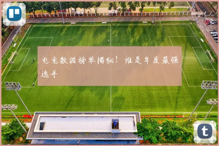 电竞数据榜单揭秘!谁是年度最强选手