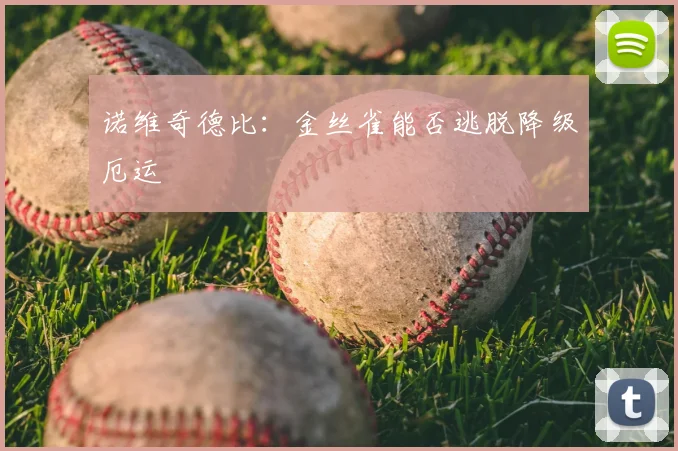 诺维奇德比：金丝雀能否逃脱降级厄运
