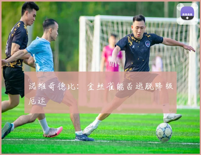 诺维奇德比:金丝雀能否逃脱降级厄运